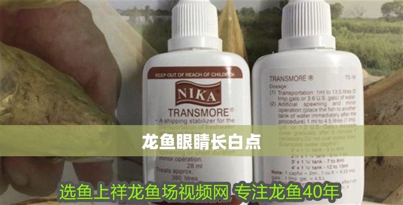 龍魚眼睛長白點