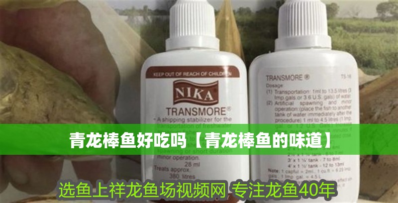 青龍棒魚好吃嗎【青龍棒魚的味道】 青龍棒魚好吃嗎【青龍棒魚的味道】 龍魚論壇