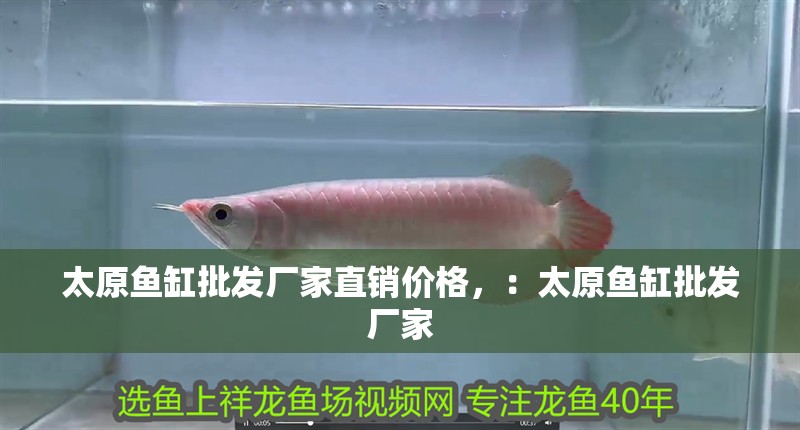龍魚干蝦有營養嗎 太原魚缸批發廠家直銷價格,:太原魚缸批發廠家 魚缸百科 太原魚缸批發廠家直銷價格,:太原魚缸批發廠家 太原魚缸批發廠家直銷價格,:太原魚缸批發廠家 魚缸百科