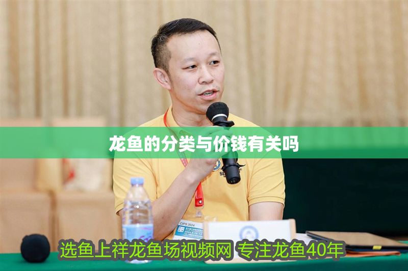 龍魚的分類與價錢有關嗎