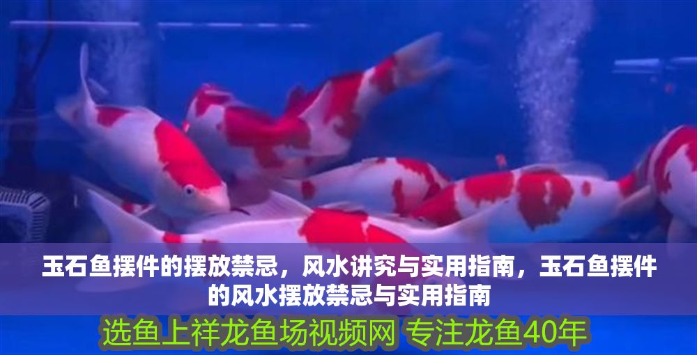 玉石魚擺件的擺放禁忌，風水講究與實用指南，玉石魚擺件的風水擺放禁忌與實用指南