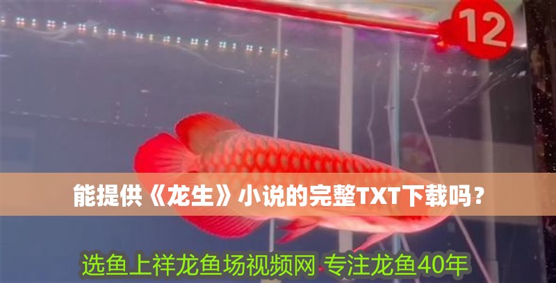 能提供《龍生》小說的完整TXT下載嗎？