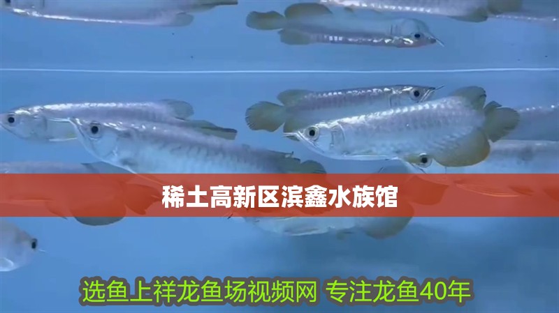 稀土高新區(qū)濱鑫水族館