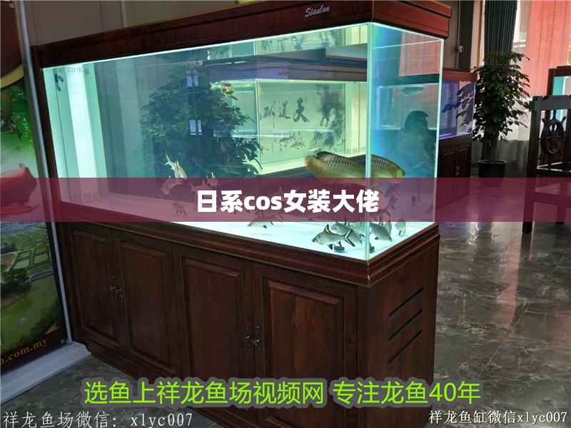 日系cos女裝大佬