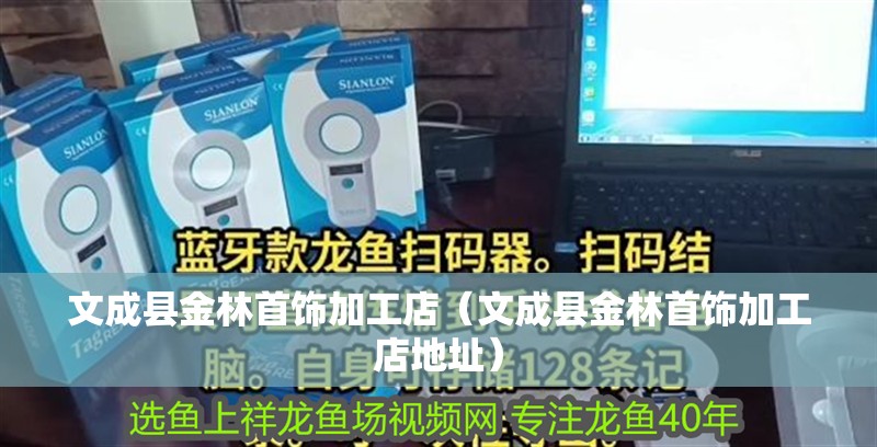 文成縣金林首飾加工店（文成縣金林首飾加工店地址）
