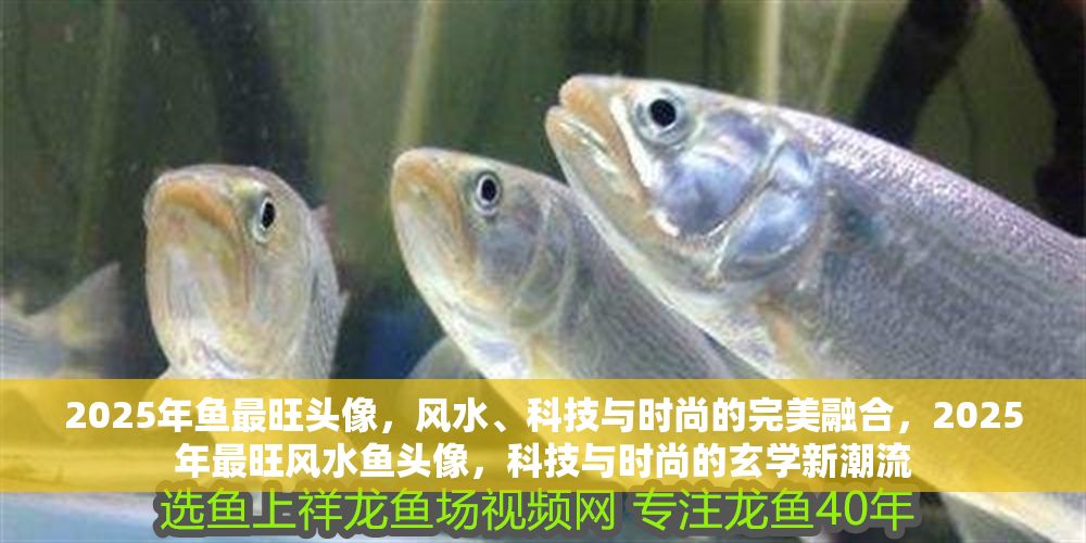2025年魚最旺頭像，風水、科技與時尚的完美融合，2025年最旺風水魚頭像，科技與時尚的玄學新潮流 2025年魚最旺頭像，風水、科技與時尚的完美融合，2025年最旺風水魚頭像，科技與時尚的玄學新潮流 龍魚百科 第1張