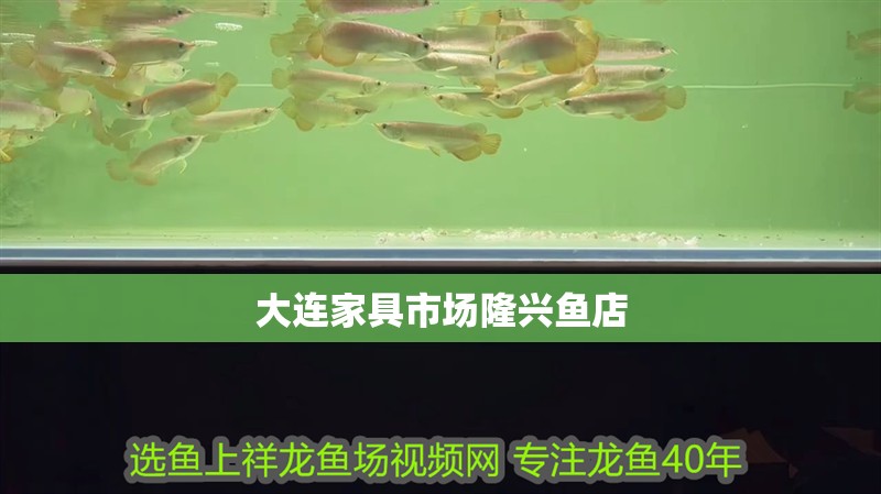 大連家具市場隆興魚店