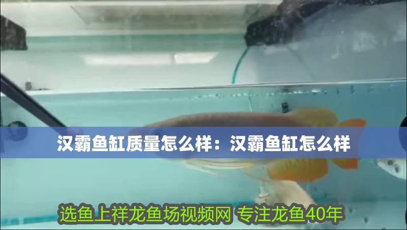 漢霸魚缸質量怎么樣：漢霸魚缸怎么樣