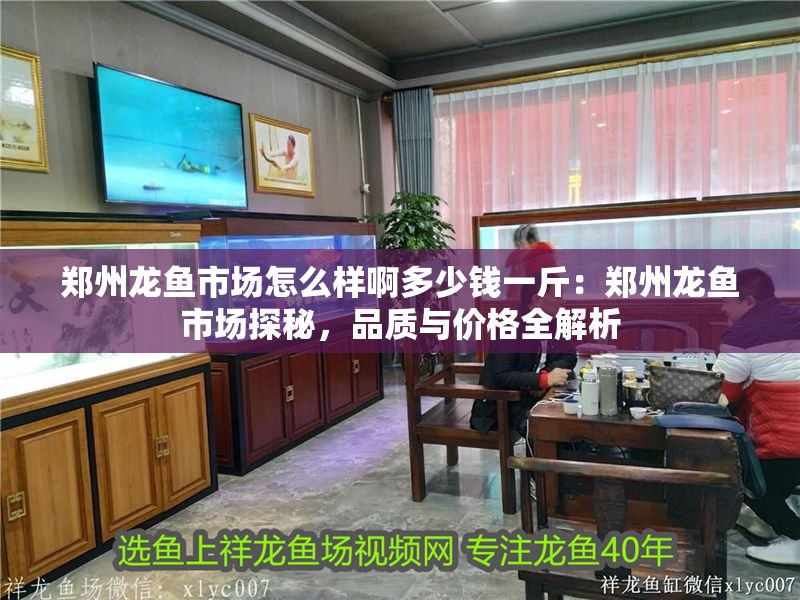 鄭州龍魚市場怎么樣啊多少錢一斤：鄭州龍魚市場探秘，品質與價格全解析