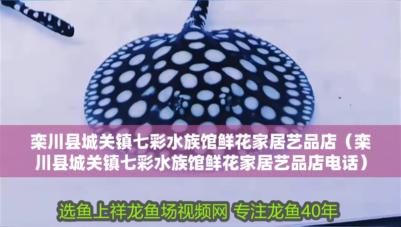 欒川縣城關鎮七彩水族館鮮花家居藝品店（欒川縣城關鎮七彩水族館鮮花家居藝品店電話）