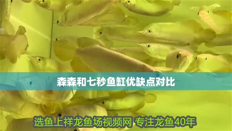 森森和七秒魚缸優缺點對比