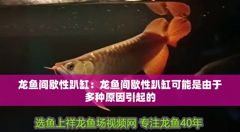 龍魚間歇性趴缸：龍魚間歇性趴缸可能是由于多種原因引起的