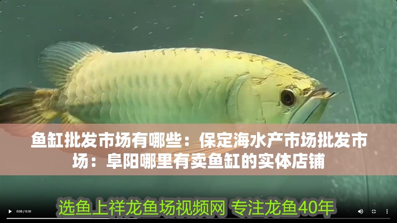 魚缸批發市場有哪些：保定海水產市場批發市場：阜陽哪里有賣魚缸的實體店鋪