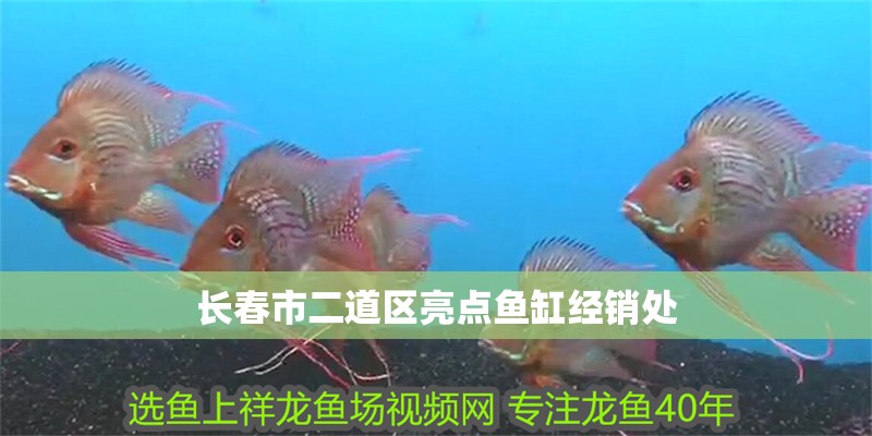長春市二道區亮點魚缸經銷處 長春市二道區亮點魚缸經銷處 全國水族館企業名錄