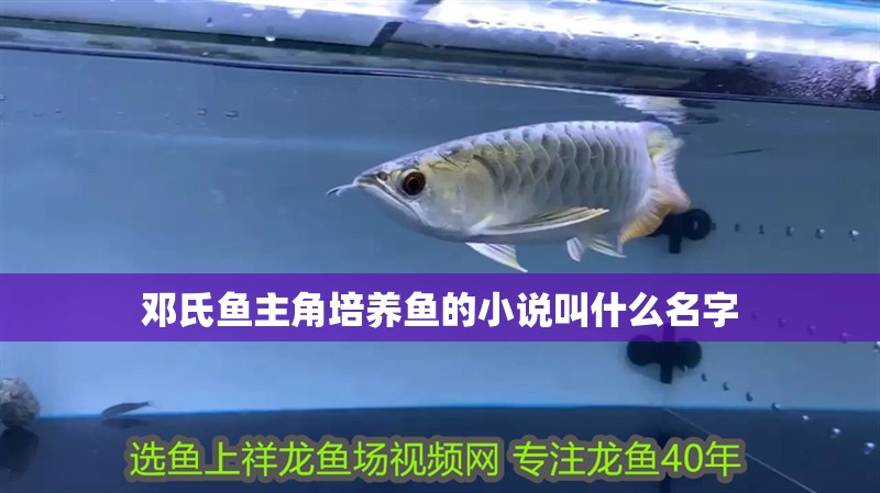 鄧氏魚主角培養魚的小說叫什么名字