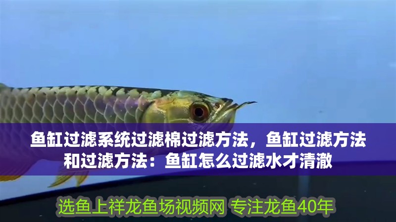 魚缸過濾系統過濾棉過濾方法，魚缸過濾方法和過濾方法：魚缸怎么過濾水才清澈