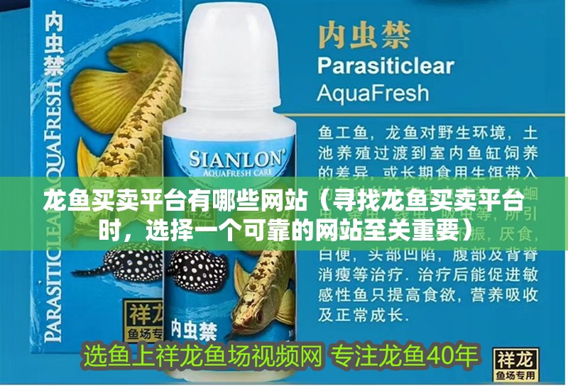 龍魚買賣平臺有哪些網站（尋找龍魚買賣平臺時，選擇一個可靠的網站至關重要）