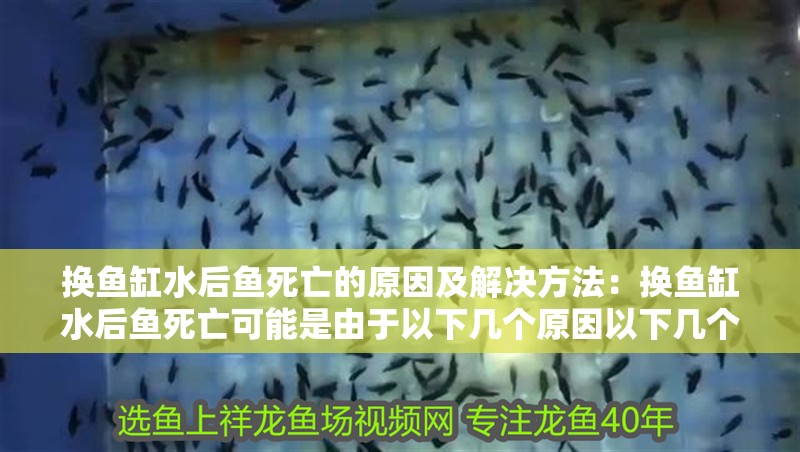 換魚缸水后魚死亡的原因及解決方法：換魚缸水后魚死亡可能是由于以下幾個原因以下幾個原因