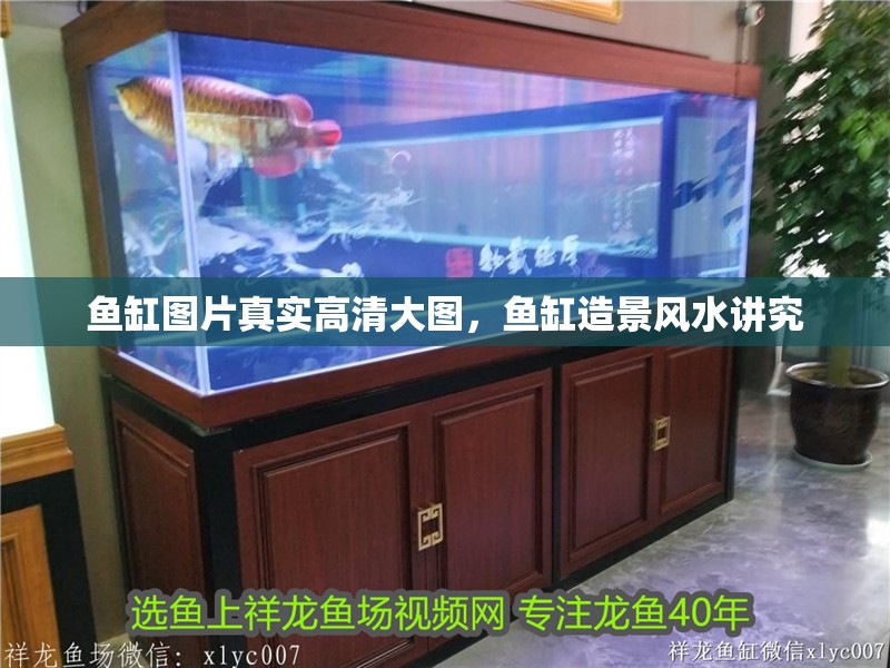 魚缸圖片真實高清大圖，魚缸造景風水講究