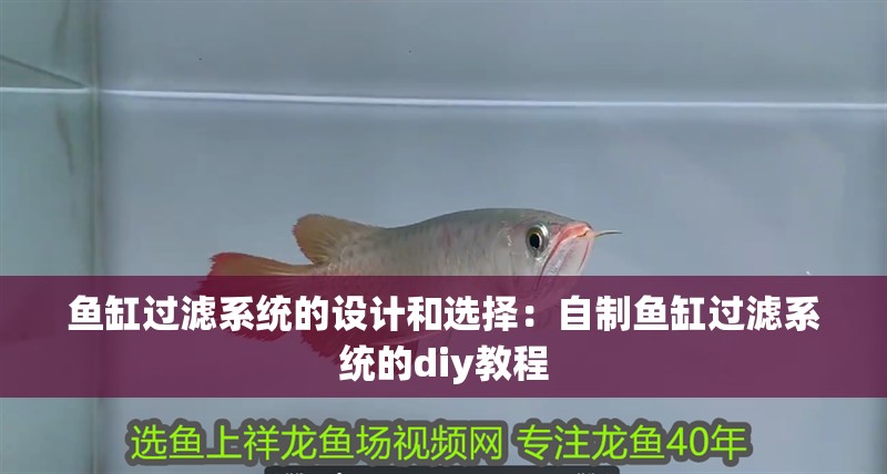 魚缸過濾器選購指南:自制魚缸過濾器魚缸上置過濾器對于養魚愛好者的必備知識 魚缸過濾系統的設計和選擇:自制魚缸過濾系統的diy教程 魚缸百科 魚缸過濾系統的設計和選擇:自制魚缸過濾系統的diy教程 魚缸過濾系統的設計和選擇:自制魚缸過濾系統的diy教程 魚缸百科