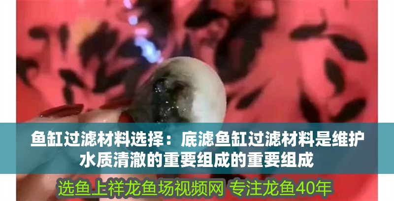 魚缸過濾材料選擇：底濾魚缸過濾材料是維護水質清澈的重要組成的重要組成