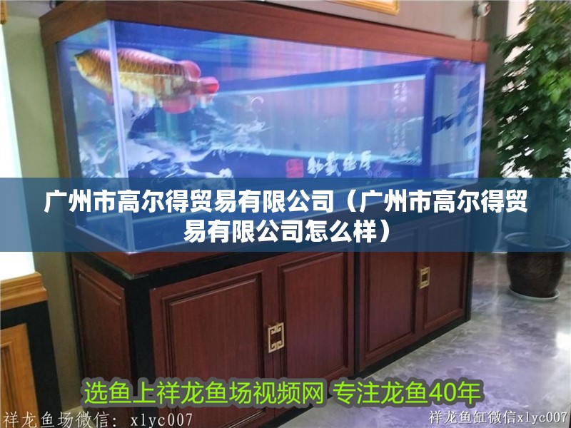 廣州市高爾得貿易有限公司（廣州市高爾得貿易有限公司怎么樣）