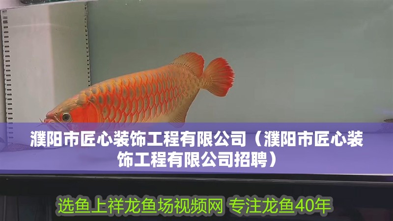 濮陽市匠心裝飾工程有限公司（濮陽市匠心裝飾工程有限公司招聘）