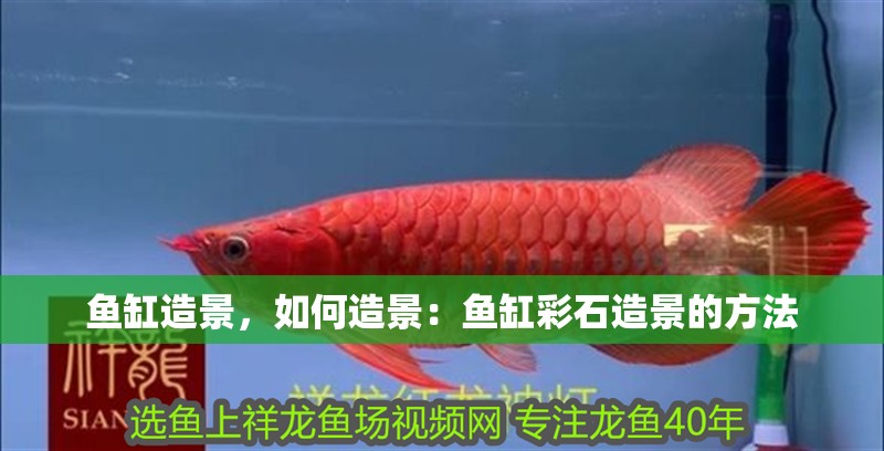 魚缸造景，如何造景：魚缸彩石造景的方法