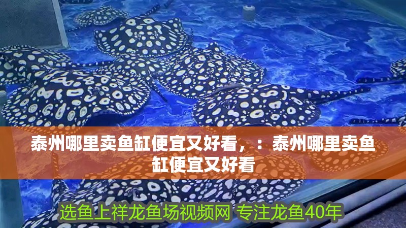 <strong><mark>泰州</mark></strong>哪里賣魚缸便宜又好看，：<strong><mark>泰州</mark></strong>哪里賣魚缸便宜又好看