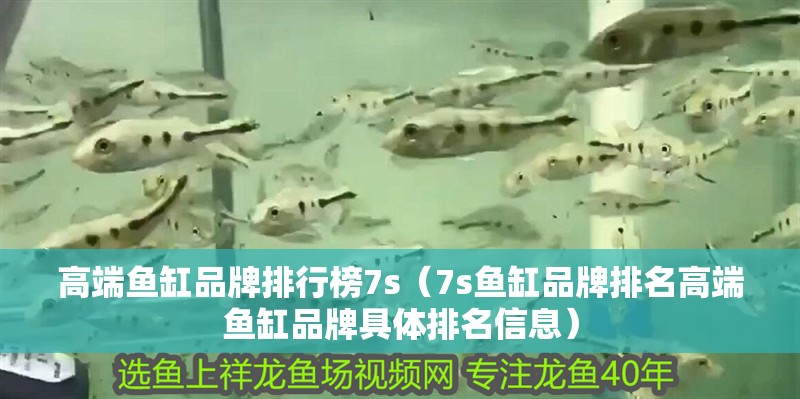 高端魚缸品牌排行榜7s（7s魚缸品牌排名高端魚缸品牌具體排名信息）