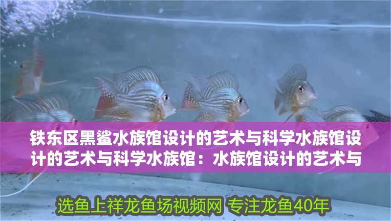 鐵東區黑鯊水族館設計的藝術與科學水族館設計的藝術與科學水族館：水族館設計的藝術與科學
