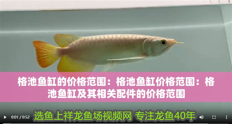 格池魚缸的價格范圍：格池魚缸價格范圍：格池魚缸及其相關(guān)配件的價格范圍
