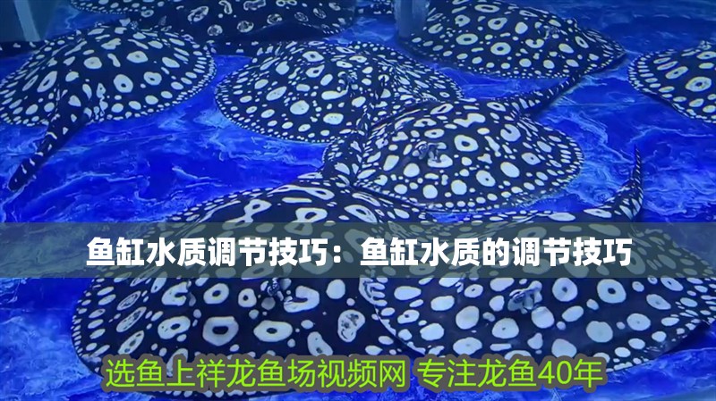 魚缸水質調節技巧：魚缸水質的調節技巧
