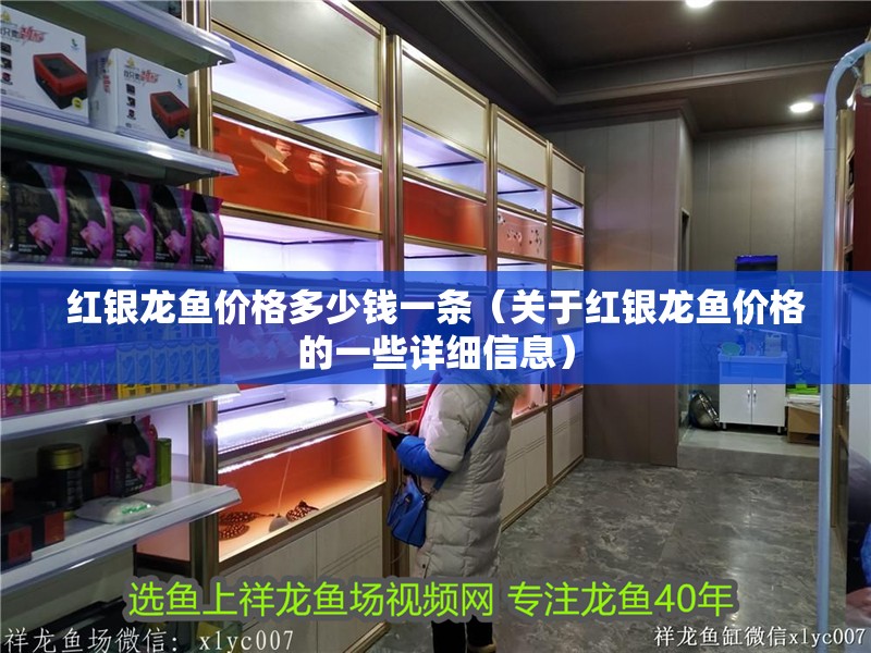 紅銀龍魚價格多少錢一條（關于紅銀龍魚價格的一些詳細信息）