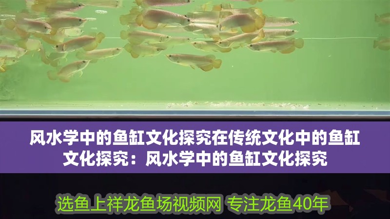 風水學中的魚缸文化探究在傳統文化中的魚缸文化探究：風水學中的魚缸文化探究
