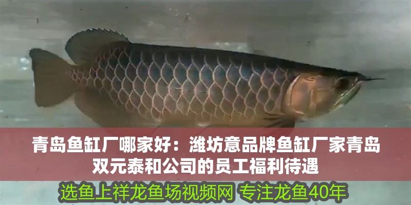 青島魚缸廠哪家好：濰坊意品牌魚缸廠家青島雙元泰和公司的員工福利待遇