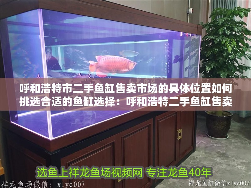 呼和浩特市二手魚缸售賣市場(chǎng)的具體位置如何挑選合適的魚缸選擇：呼和浩特二手魚缸售賣市場(chǎng)