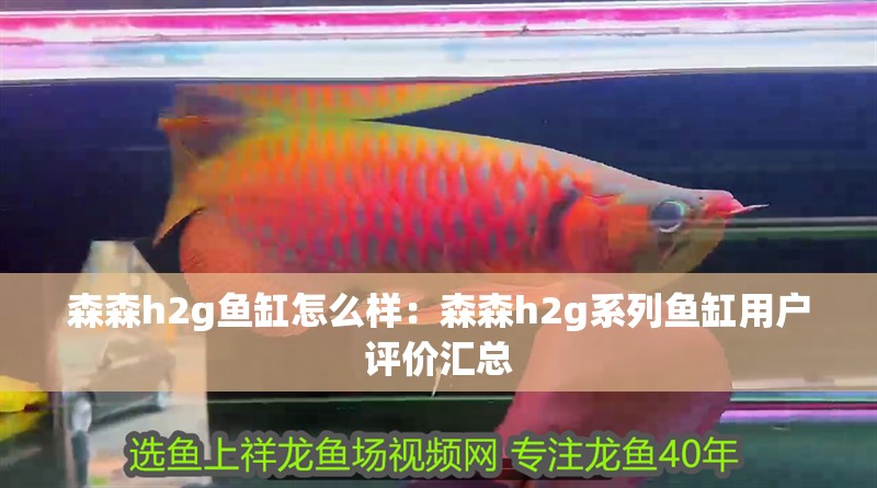 森森h(huán)2g魚缸怎么樣：森森h(huán)2g系列魚缸用戶評價匯總