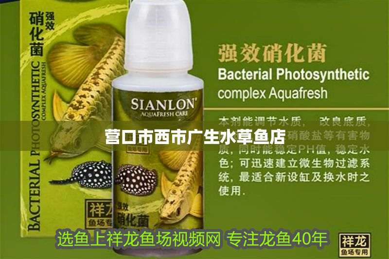 營口市西市廣生水草魚店