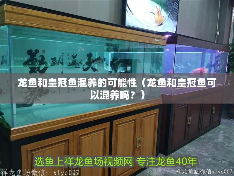 龍魚和皇冠魚混養的可能性（龍魚和皇冠魚可以混養嗎？）