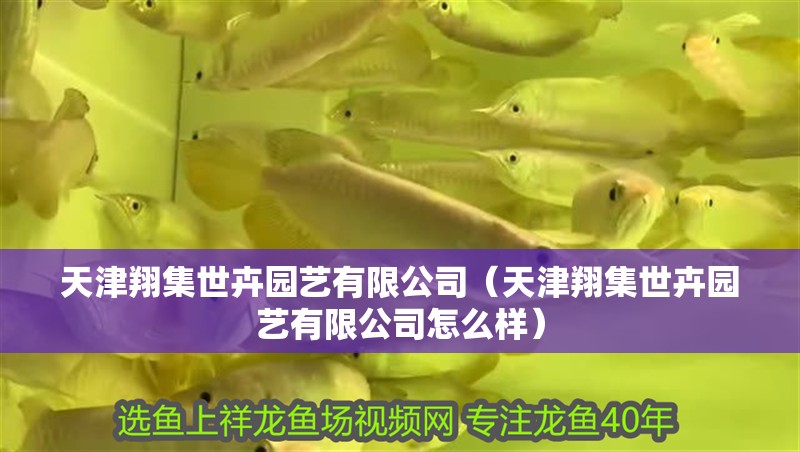 天津翔集世卉園藝有限公司（天津翔集世卉園藝有限公司怎么樣）