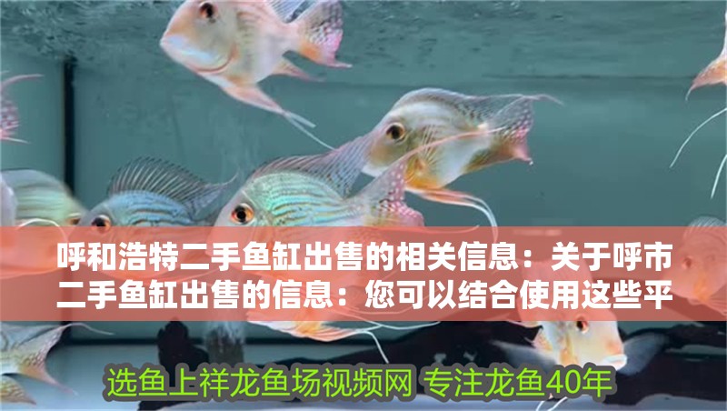 呼和浩特二手魚缸出售的相關(guān)信息：關(guān)于呼市二手魚缸出售的信息：您可以結(jié)合使用這些平臺和網(wǎng)站