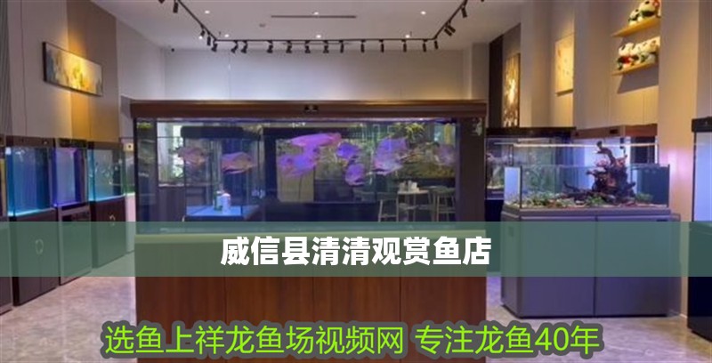 <strong><mark>威信</mark></strong>縣清清觀賞魚(yú)店