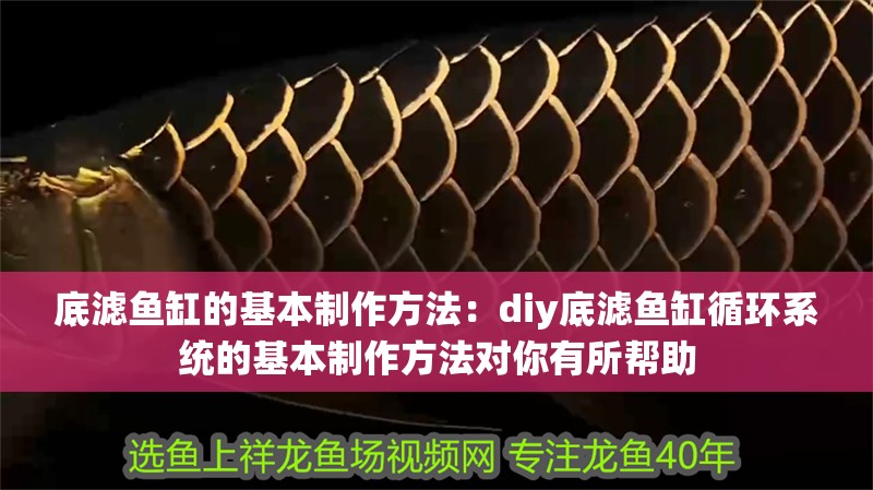 底濾魚缸的基本制作方法：diy底濾魚缸循環(huán)系統(tǒng)的基本制作方法對(duì)你有所幫助