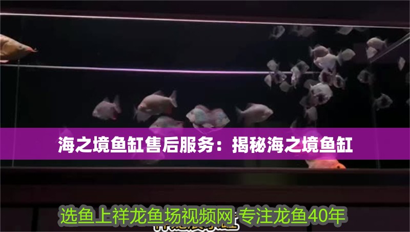 海之境魚缸售后服務：揭秘海之境魚缸