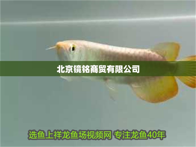 北京鏡銘商貿有限公司