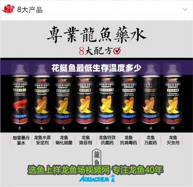 花鰱魚最低生存溫度多少