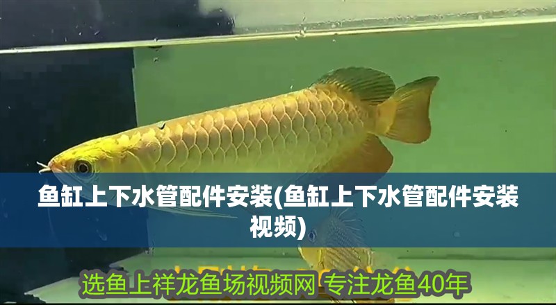 魚缸上下水管配件安裝(魚缸上下水管配件安裝視頻)