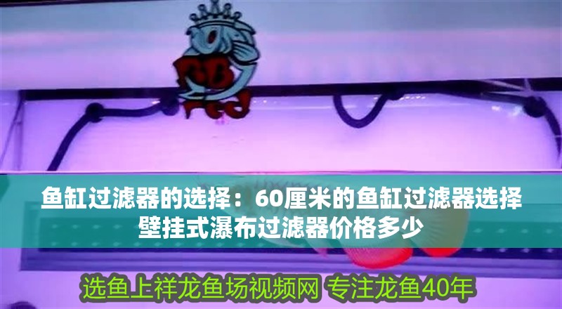 魚缸過濾器的選擇：60厘米的魚缸過濾器選擇壁掛式瀑布過濾器價(jià)格多少