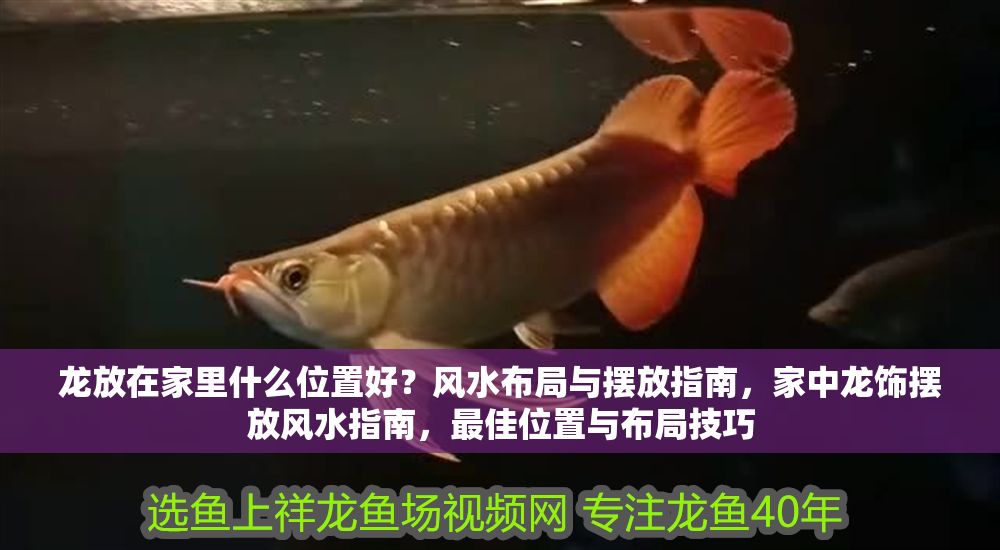 龍放在家里什么位置好？風水布局與擺放指南，家中龍飾擺放風水指南，最佳位置與布局技巧